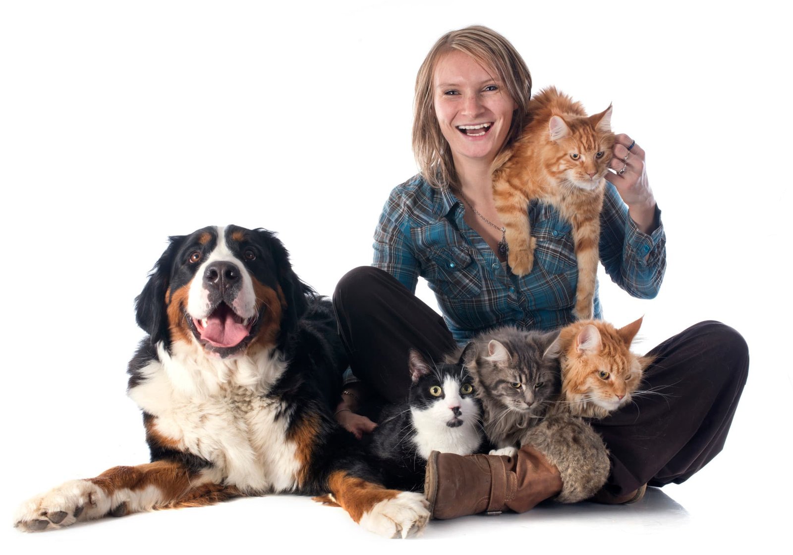 Foster carer holding dogs and cats and smiling